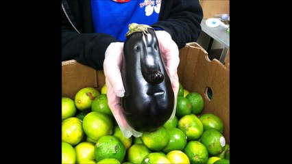 16 fruits et légumes insolites