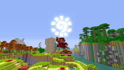 Minecraft- Wii U Edition : Super Mario Mash Up Pack