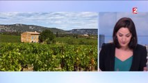 Vins : tour d'horizon du patrimoine vinicole français