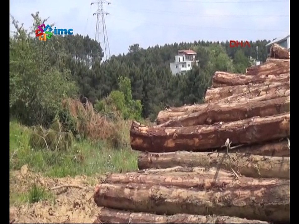 Fatih Ormanı yapılaşma ve taş ocakları tehdidi altında