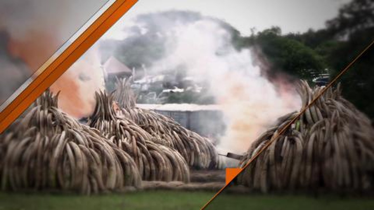 Post Script - Catherine Soi - Kenya Ivory Burning promo