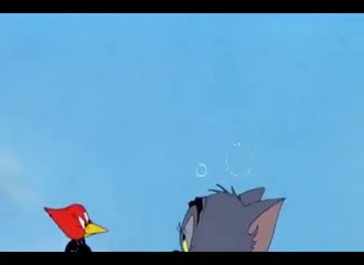 Tom And Jerry Cartoon in Hindi Language 2015 ~ Tom Jerry Tee for Two ~ Best Cartoon 2015