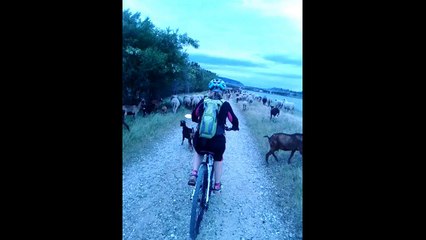 VTT sur la via Rhona