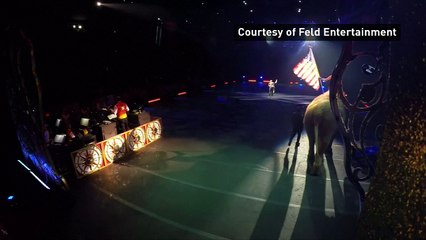 Last remaining circus elephants go into retirement