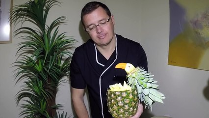 Parrot made with fruit- J.Pereira - Art Carving Fruits and vegetables