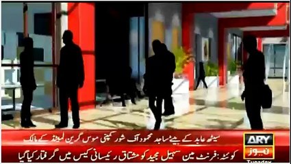 Second report of Panama Papers Ary Complete Report on All Companies