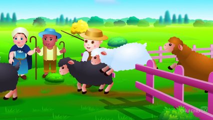 Baa Baa Black Sheep - The Joy of Sharing!