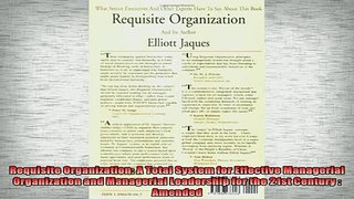 READ book  Requisite Organization A Total System for Effective Managerial Organization and Online Free