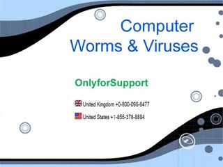 Virus Removal Services