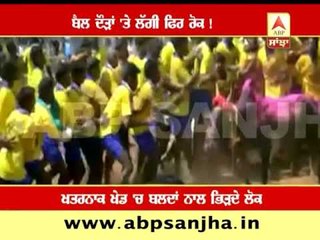 Bull race 'Jalikattu' banned again