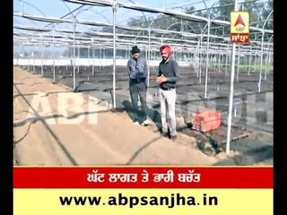 This unique fertiliser helps to earn crores