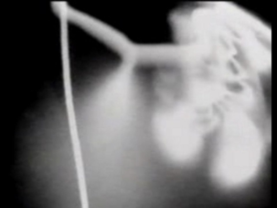 Ryuichi Sakamoto & Iggy Pop - Risky