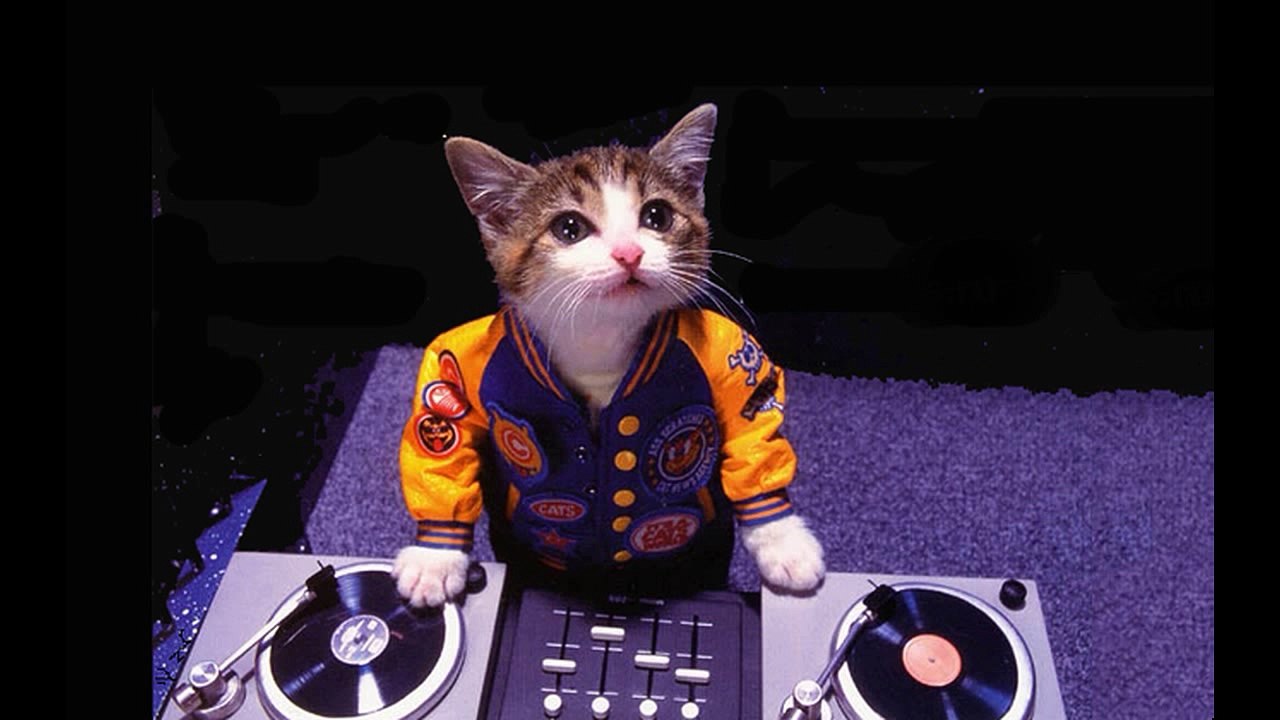 dj- moro mou