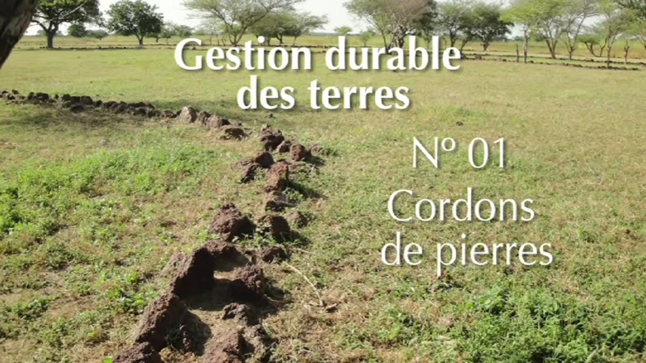SLM 01 Cordons de pierres