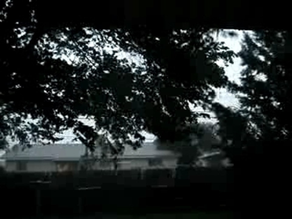 MOV02246