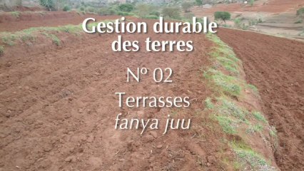 SLM 02 Terrasses fanya juu