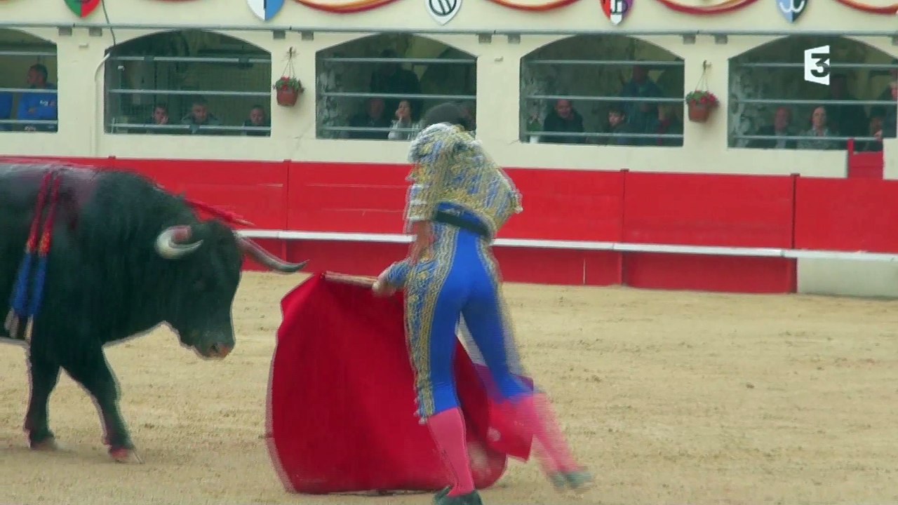 Alès Lamelas toro 1