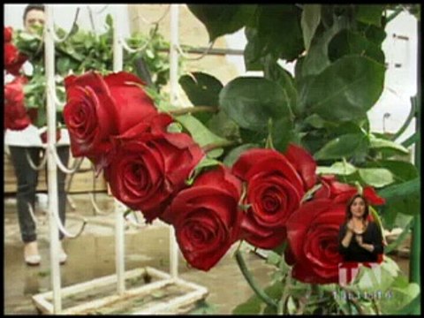 Ministro de Comercio y Vicepresidente de Ecuador viajarán a Europa