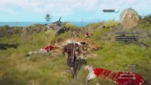 The Witcher 3 wild hunt : Lets slay monsters 1