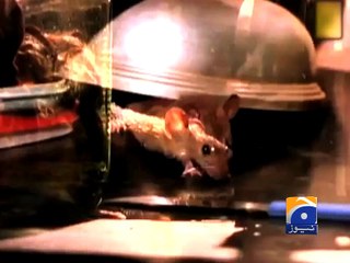 Fire erupts in Supreme Court Bar Association's office -09 May 2016