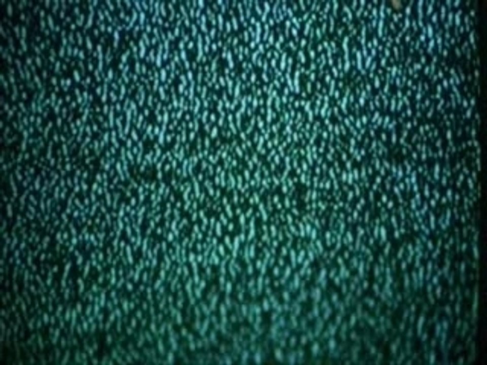 Saw 1 ~ the Best Scene