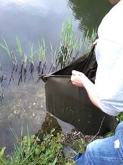 Remise à l'eau des carpe d'aujourd'hui