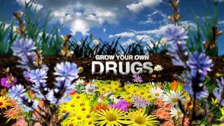 Grow.Your.Own.Drugs-S01E06
