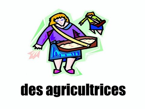 Learn French - Les professions vol2