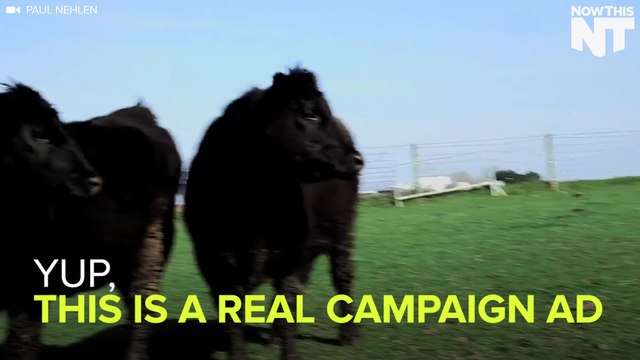 Sarah Palin Endorses Motorcycling Congressional Candidate