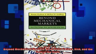 FREE PDF  Beyond Mechanical Markets Asset Price Swings Risk and the Role of the State  BOOK ONLINE