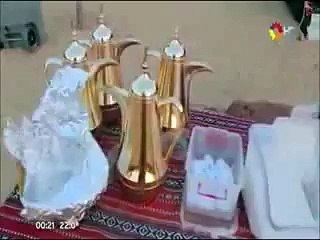 Watch Abu Dhabi Desert Safari by Nuzhath Ideas in Resto del Mundo 2015