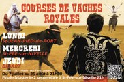 Course de Vaches Royale (fin)