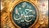 Zilh-e-Raza - Hussainiat Ko Sajaya Ali (A.S) Ki Beti Ne (New Manqabat)