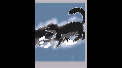 Warrior cats : Shooting Stars