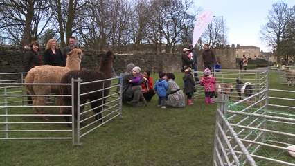 Election 2015: Bradford votes cult of personality - BBC News