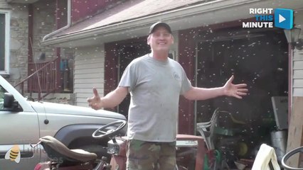 Beekeeper Welcomes New Swarm to His Garage