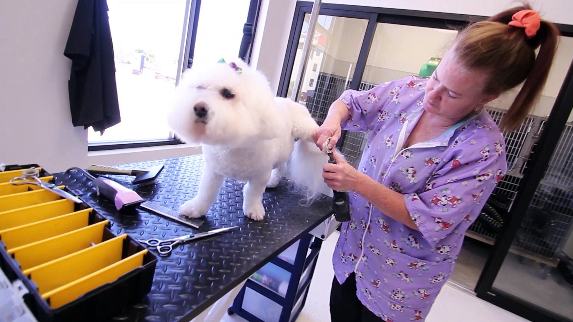 ⁣Welcome to Palmetto Veterinary Medicine & Surgery