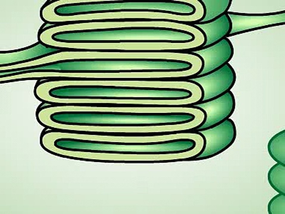 1º etapa fotosíntesis