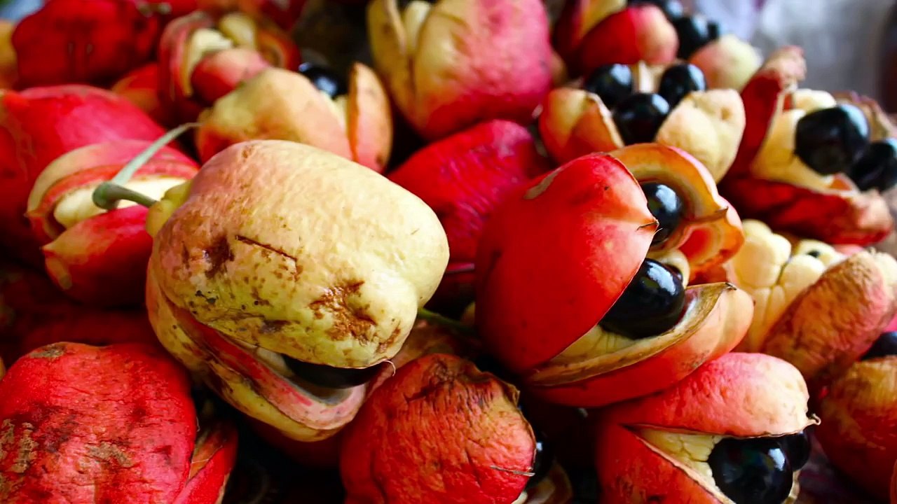 10 Banned Foods Not Banned In America