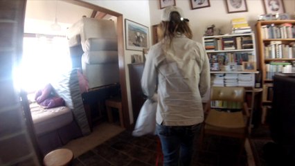 Eastern Brown Snake in Kitchen