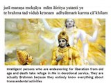 Bhagavad Gita Chapter 7 - Verse 29