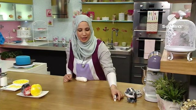 Samira TV - Programme inconnu - 07-12-2015 09h30 30m (9279)