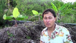 Hawaii Permaculture Property Hunting Checklist