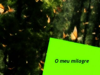 O meu milagre- Sula Miranda