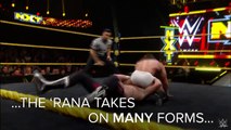 101 Aerial Moves of Mexican Wrestling