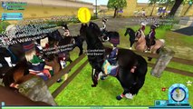 Star Stable Online NEW SHIRE HORSES Del 388