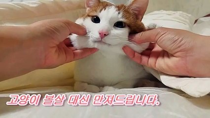 『일산오피』→♬밤포유♬《bam4u8.com》㎸일산오피 일산건마 일산휴게텔 일산안마 일산립카페 일산핸플 일산키스방