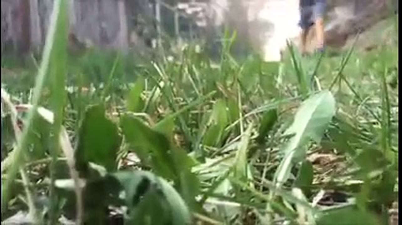 minecraft in real life