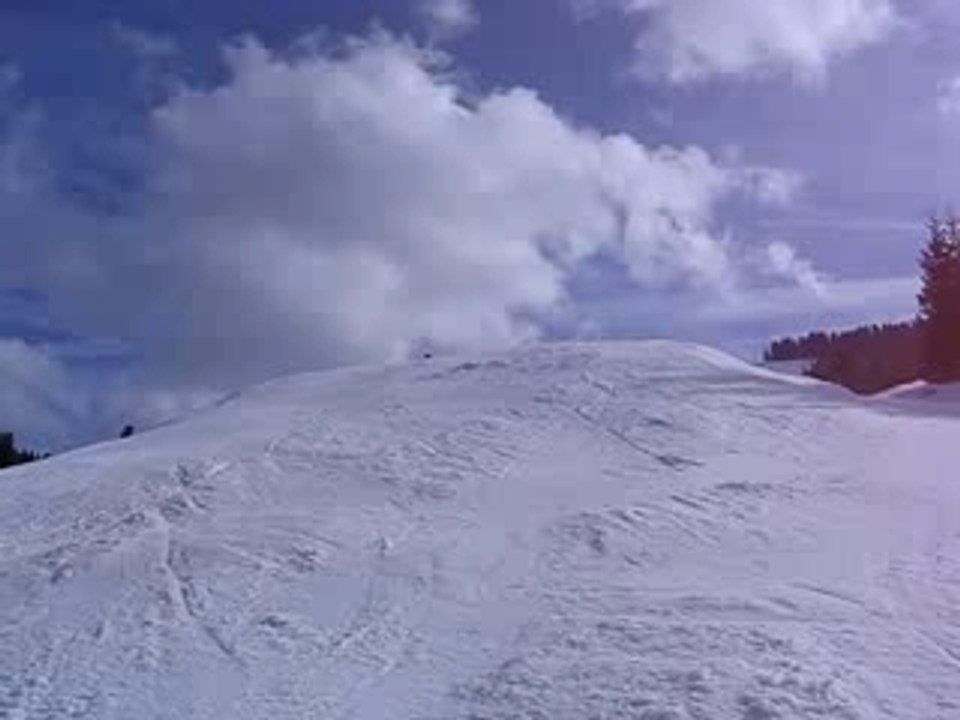 petit saut en suisse