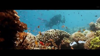 Wonderfull Maumere, Flores Indonesia